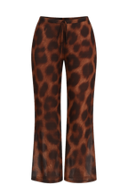 Pantatule onça - 3